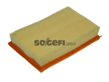 Air Filter (A1109)