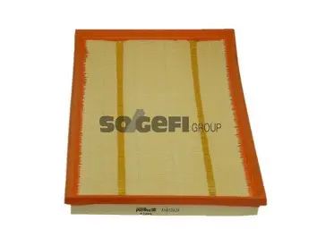 Air Filter (A1489)