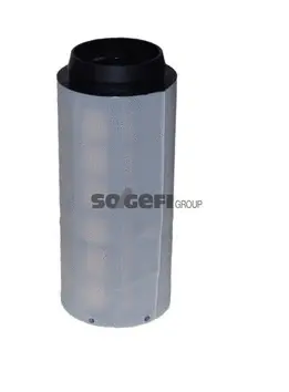 Fuel Filter (C832)