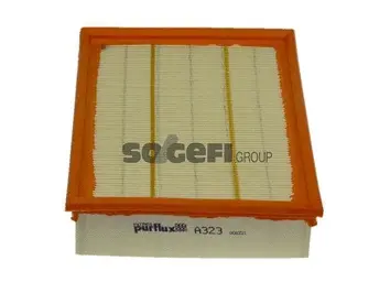 Air Filter (A323)