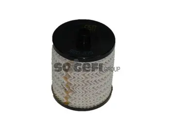 Fuel Filter (C517)
