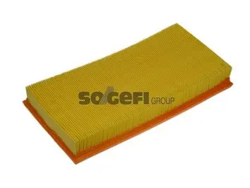 Air Filter (A1076)