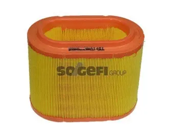 Air Filter (A1461)