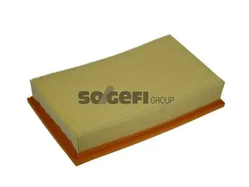 Air Filter (A1169)