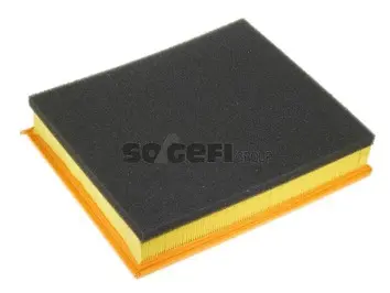 Air Filter (A1010)