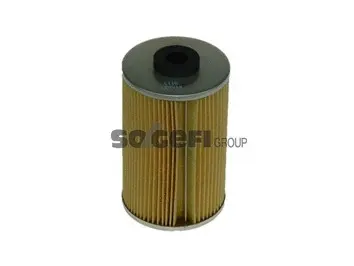 Fuel Filter (C116)