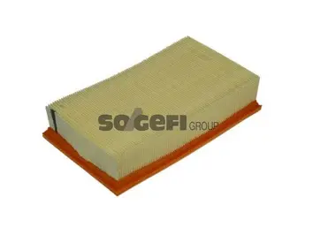 Air Filter (A1110)