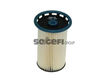 Fuel Filter (C801)