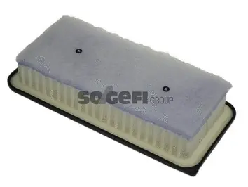 Air Filter (A1251)