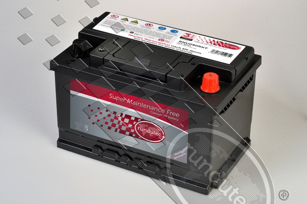 Starter Battery