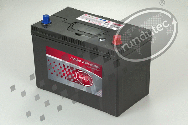 Starter Battery