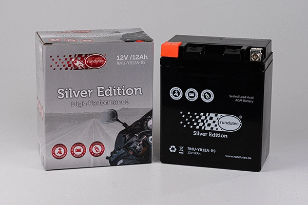 Starter Battery