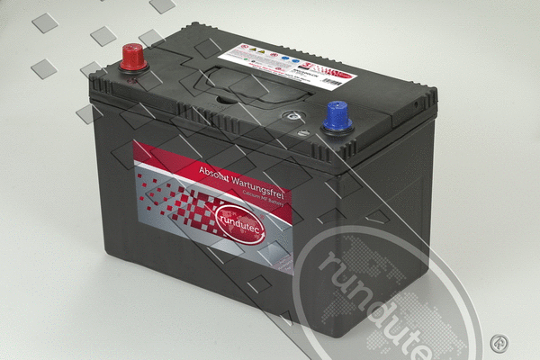 Starter Battery