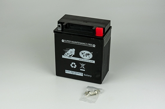 Starter Battery