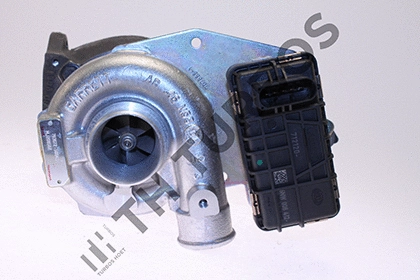 Charger, charging (supercharged/turbocharged) (1100493)