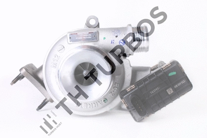 Charger, charging (supercharged/turbocharged) (2100863)