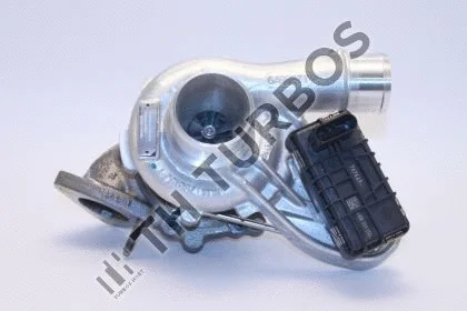 Charger, charging (supercharged/turbocharged) (2101250)