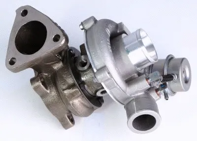 Charger, charging (supercharged/turbocharged) (2100552)