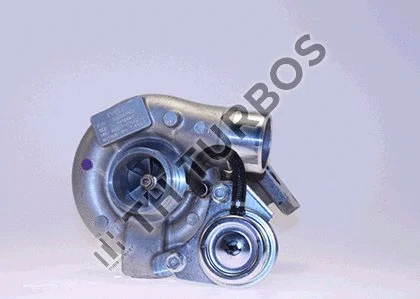 Charger, charging (supercharged/turbocharged) (1100234)
