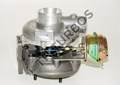 Charger, charging (supercharged/turbocharged) (1100126)