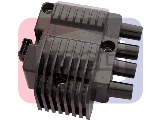Ignition Coil Unit (16020)