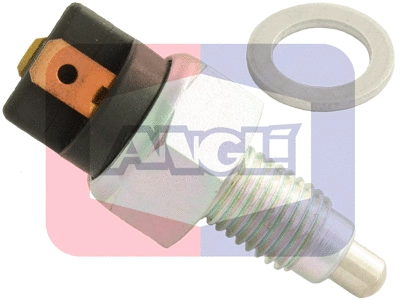 Switch, reverse light (939)