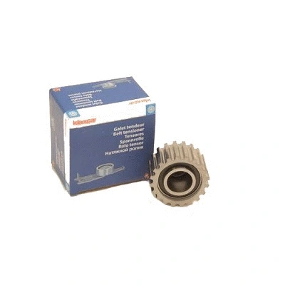 Deflection/Guide Pulley, timing belt (RX26125)
