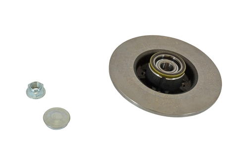 Brake Disc (25859a)