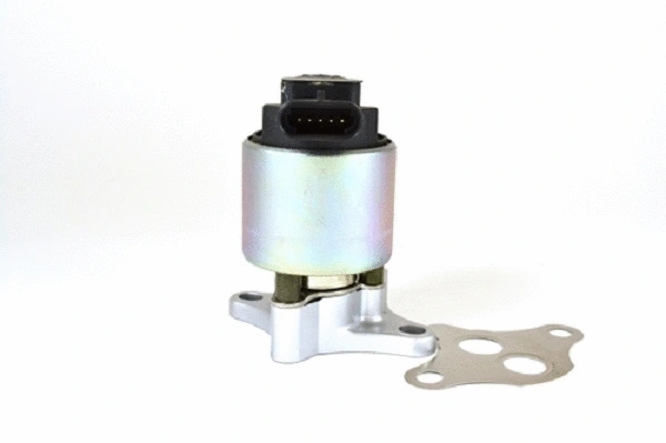 EGR Valve (50052z)