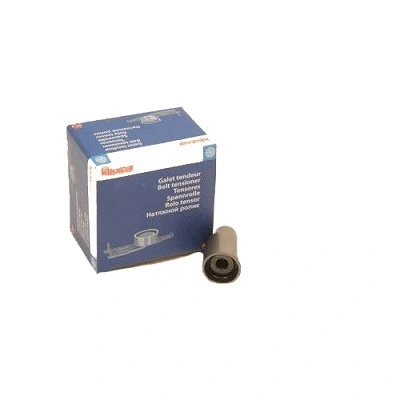 Deflection/Guide Pulley, timing belt (RX21131)