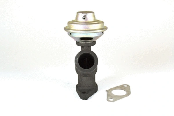 EGR Valve (50025z)
