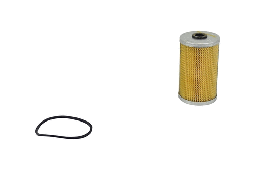 Fuel Filter (FE098z)