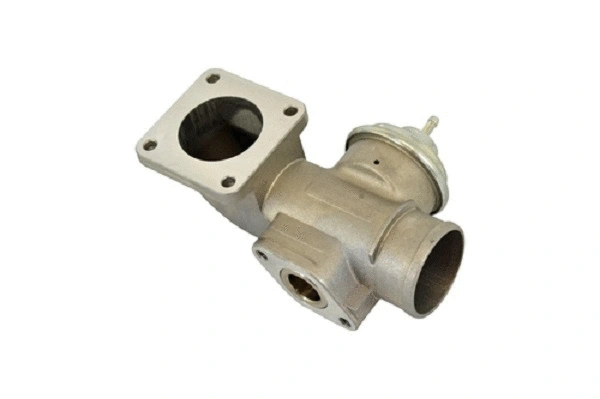 EGR Valve (50045z)