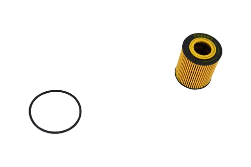 Oil Filter (FH110z)