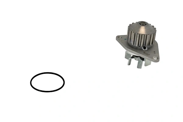 Water Pump, engine cooling (42029z)