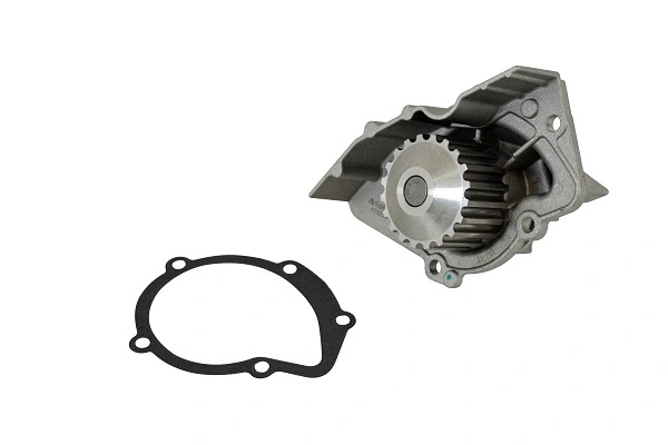 Water Pump, engine cooling (42025z)