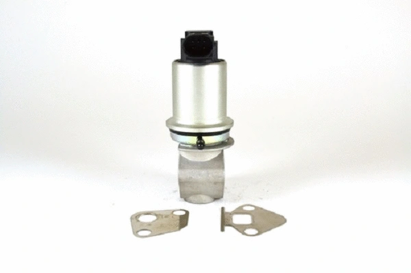 EGR Valve (50013z)