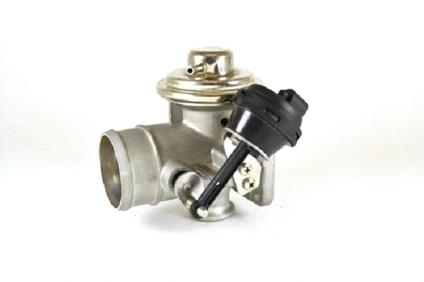 EGR Valve (50058z)