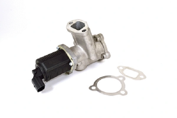 EGR Valve (50004z)
