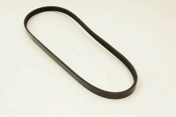 V-Ribbed Belt (4PK884)