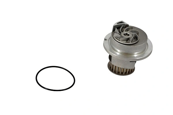 Water Pump, engine cooling (42121z)