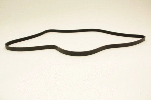 V-Ribbed Belt (5PK1725)
