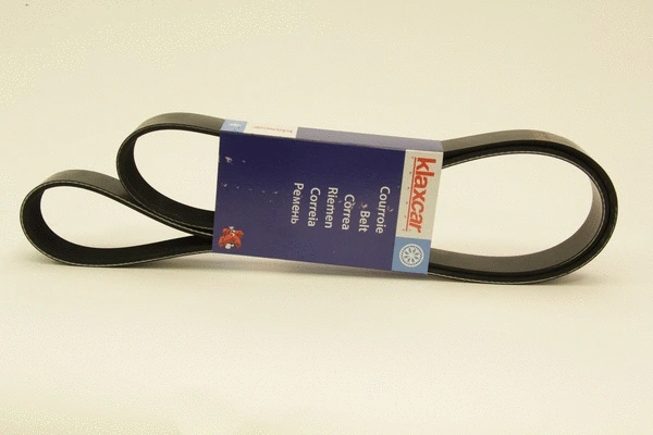 V-Ribbed Belt (8PK1538)
