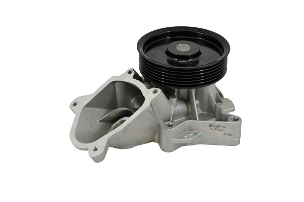 Water Pump, engine cooling (42182z)