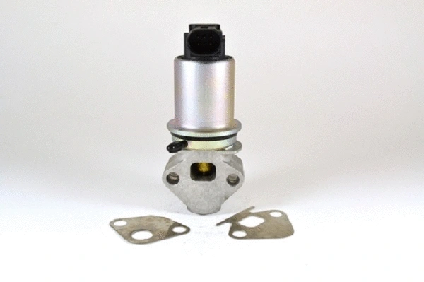 EGR Valve (50044z)
