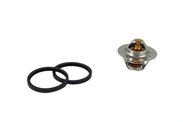 Thermostat, coolant (15510883z)