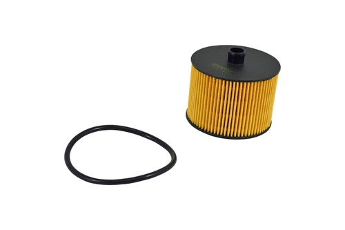 Fuel Filter (FE071z)