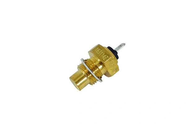 Sensor, coolant temperature (163114z)