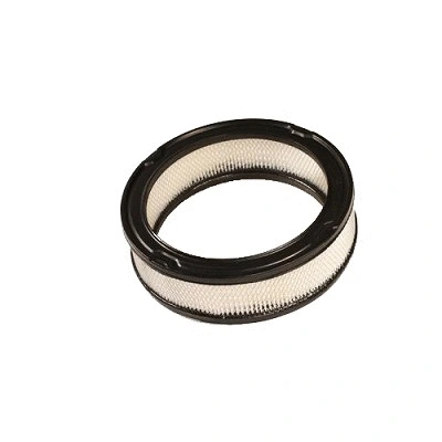 Air Filter (FA162z)