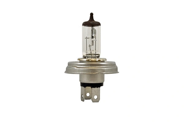 Bulb (86217z)